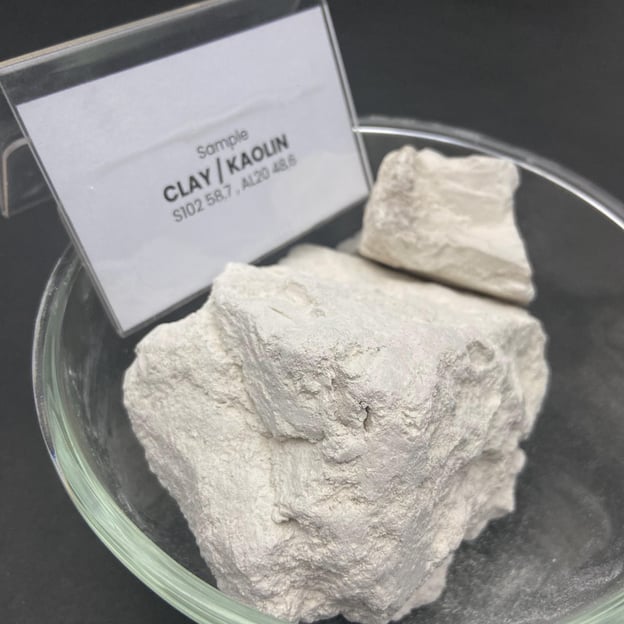 2024_05_20_17_19_IMG_8248